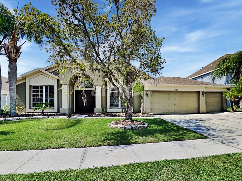 10223 Meadow Crossing Dr in Tampa, FL - Building Photo
