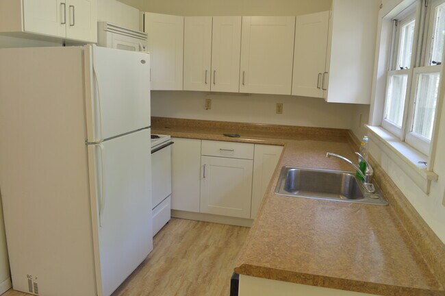 203 Pine Tree Rd in Ithaca, NY - Building Photo - Building Photo