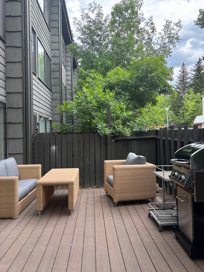 725 E Main St, Unit 107 in Aspen, CO - Building Photo - Building Photo