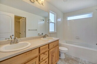 2120 Orchard Bloom Dr in Windsor, CO - Building Photo - Building Photo