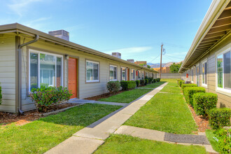 Delta View Apartments in Antioch, CA - Building Photo - Building Photo