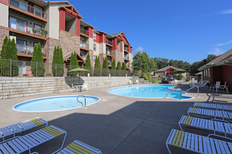 Turtle Creek Apartments in Branson, MO - Building Photo - Interior Photo