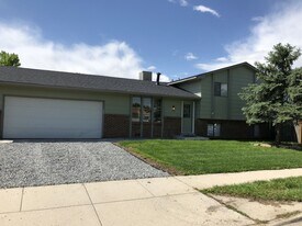 290 Kattell St in Erie, CO - Building Photo