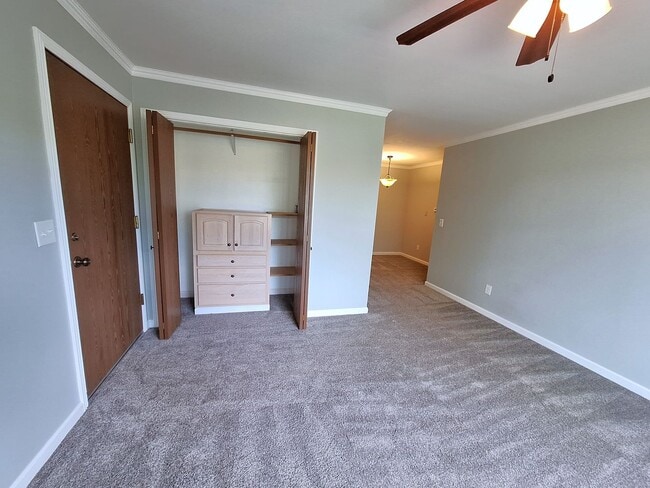 380 Paradise Cir in Woodland Park, CO - Building Photo - Building Photo