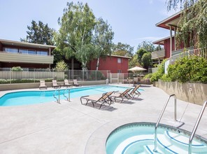 Bay Tree in Los Gatos, CA - Foto de edificio - Building Photo