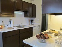 Kitchen - Lafayette Park Place Apartments in Detroit, Michigan