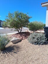 571 E Colt Ln in Littlefield, AZ - Foto de edificio - Building Photo