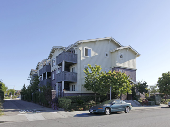 Gault Street Apartments in Santa Cruz, CA - Building Photo - Building Photo