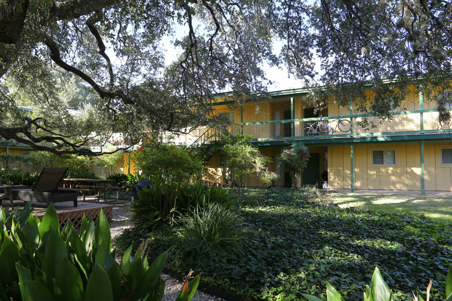 West Annie Apartments in Austin, TX - Building Photo - Building Photo