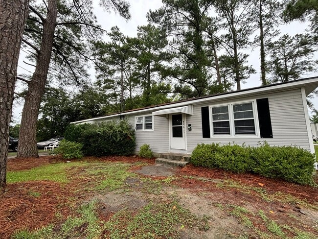 42 Sophia Dr in Jacksonville, NC - Building Photo - Building Photo