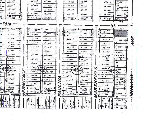 7800 S Ashland Ave in Chicago, IL - Foto de edificio - Building Photo