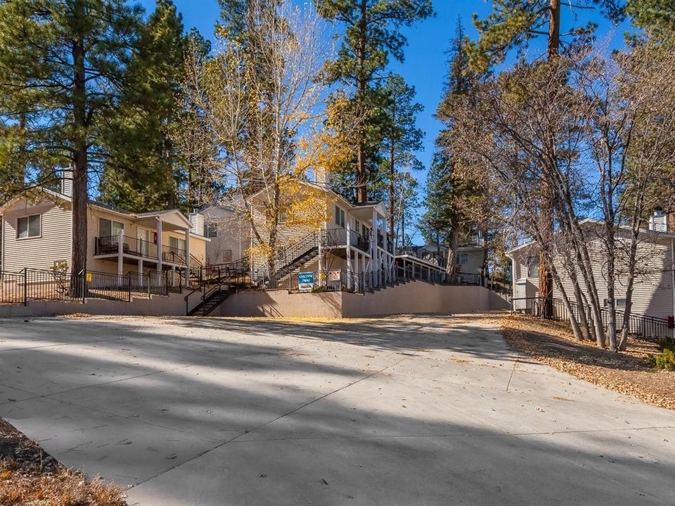 728 Paine Rd in Big Bear Lake, CA - Building Photo