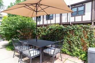 1111 Superior Street, Unit 1 in Oak Park, IL - Foto de edificio - Building Photo