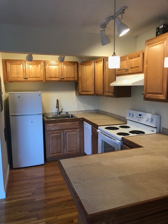 83 Trowbridge St, Unit 77-72 in Cambridge, MA - Building Photo - Building Photo