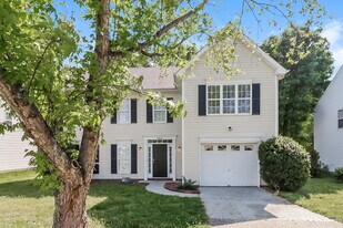 9802 Steele Meadow Rd in Charlotte, NC - Building Photo