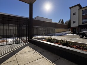 348 14th St in Courtenay, BC - Building Photo - Building Photo