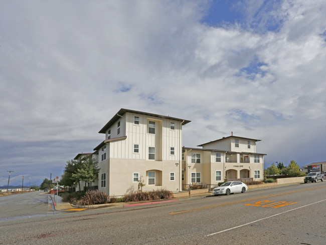 Cynara Court in Castroville, CA - Foto de edificio - Building Photo