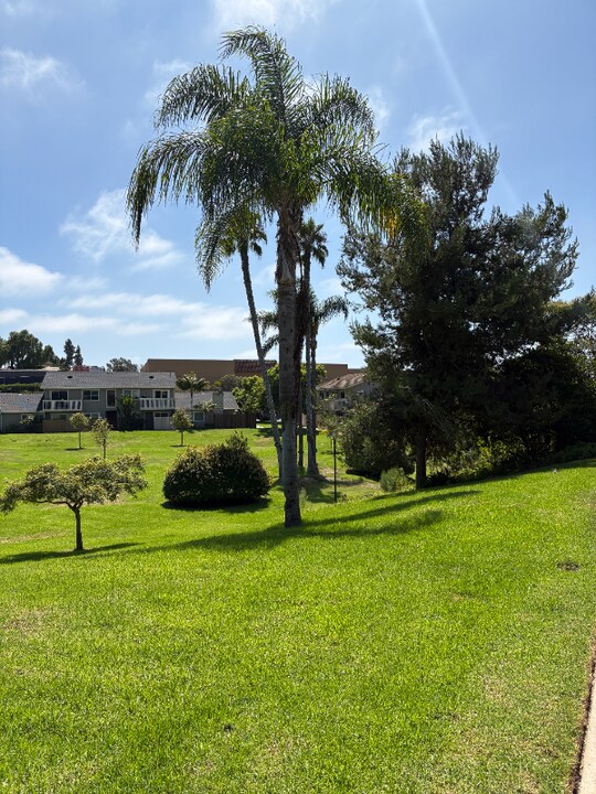 407 Requeza St in Encinitas, CA - Building Photo