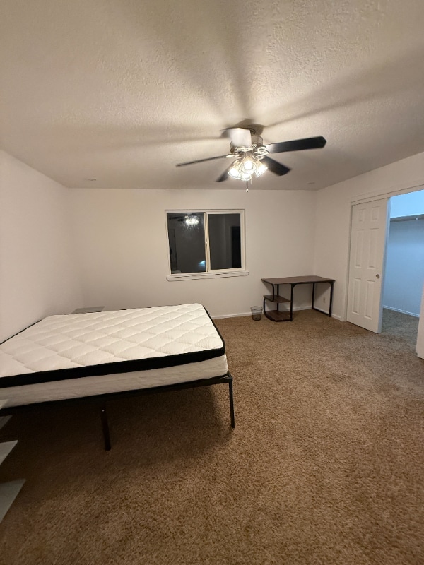 1319 W Hasket Cir in Nampa, ID - Building Photo - Building Photo