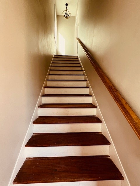 2509 Arbor St in Houston, TX - Building Photo - Building Photo