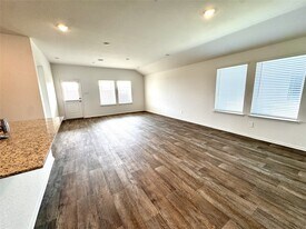 30407 Carter Cv in Fulshear, TX - Building Photo