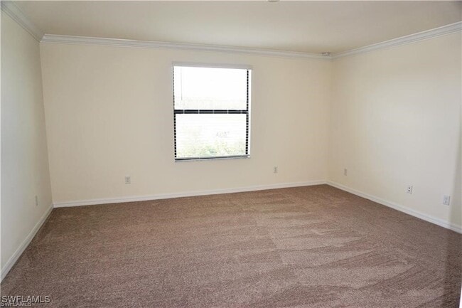 property at 4232 Raffia Palm Cir