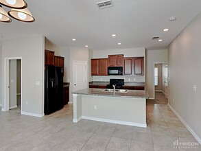 209 Archcliffe Point Pl in Dover, FL - Building Photo - Building Photo