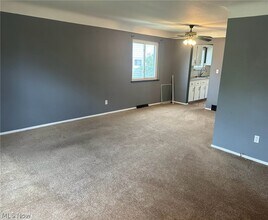 1187 Bonnie Ln in Mayfield Heights, OH - Building Photo - Building Photo