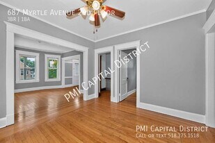 687 Myrtle Ave in Albany, NY - Building Photo
