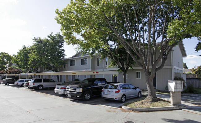 Forest Avenue Townhomes in Castro Valley, CA - Building Photo - Building Photo