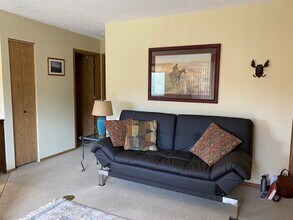 507 Fall River Ln, Unit C in Estes Park, CO - Building Photo - Building Photo