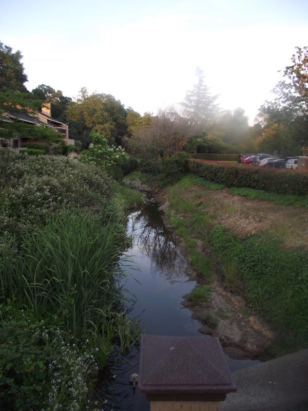 9200 Madison Ave, Unit 194 in Orangevale, CA - Building Photo - Building Photo