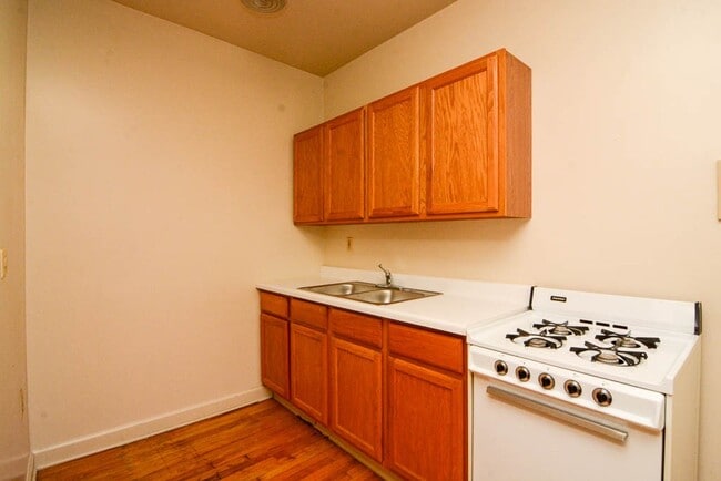 1055 W George St in Chicago, IL - Building Photo - Building Photo