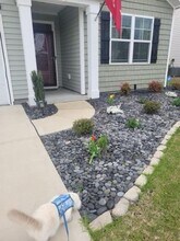 3193 Bells Lk Cir in Longs, SC - Building Photo - Building Photo