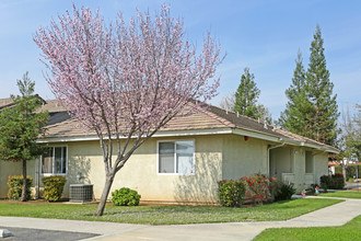 Elderberry Senior Community in Sanger, CA - Building Photo - Building Photo