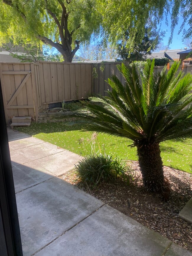5227 Adalina Ct, Unit Condo in San Jose, CA - Building Photo - Building Photo