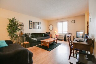 163 Minnesota Ave in Roseville, MN - Building Photo