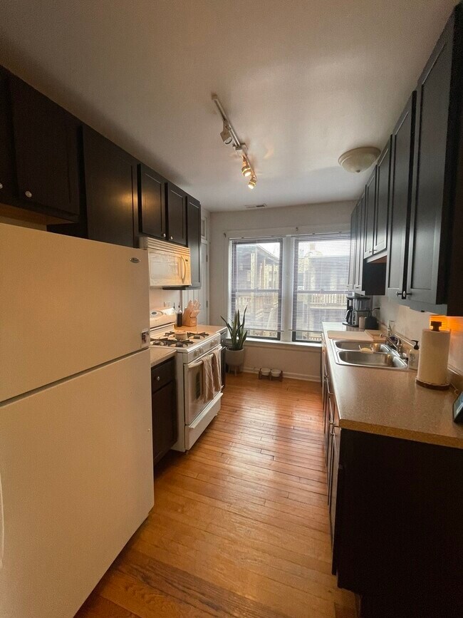 2833 N Cambridge Ave in Chicago, IL - Building Photo - Building Photo