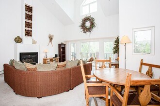 101 Morningstar Cir in Frisco, CO - Building Photo - Building Photo
