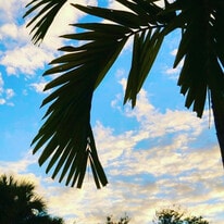 6078 Dusenburg Rd in Delray Beach, FL - Building Photo