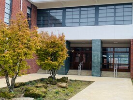 1815 Military Rd, Unit 1002