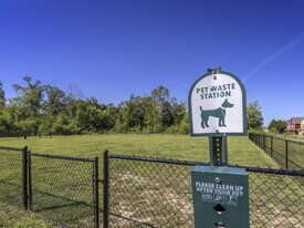 Cobalt Row in Murfreesboro, TN - Building Photo