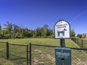 Cobalt Row in Murfreesboro, TN - Building Photo - Building Photo