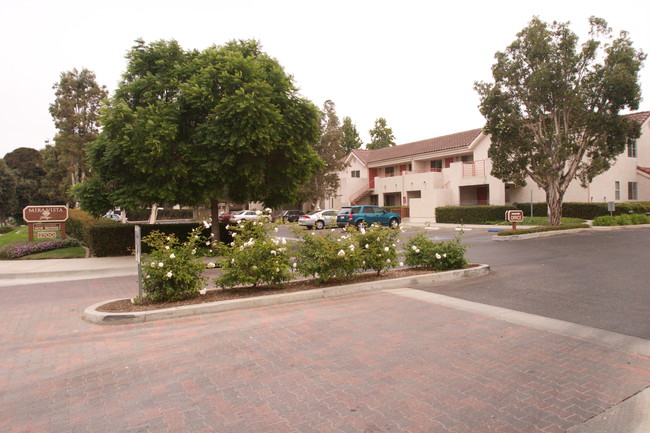Mira Vista Senior Apartments in Camarillo, CA - Foto de edificio - Building Photo