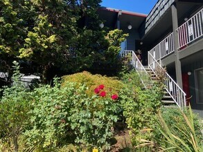 Parkview Terrace in Portland, OR - Building Photo - Building Photo