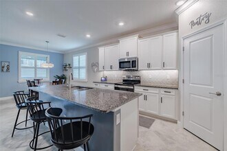 31565 Cannon Rush Dr in San Antonio, FL - Foto de edificio - Building Photo