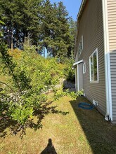 1529 202nd St Ct E in Spanaway, WA - Building Photo - Building Photo