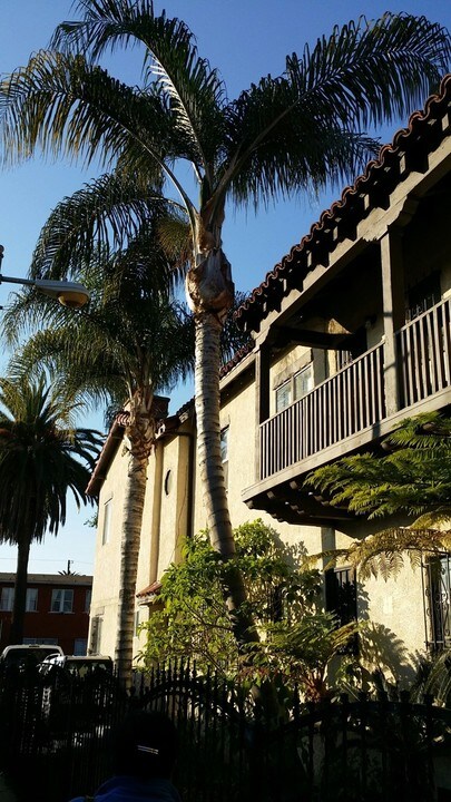 3795 S St Andrews Pl in Los Angeles, CA - Foto de edificio