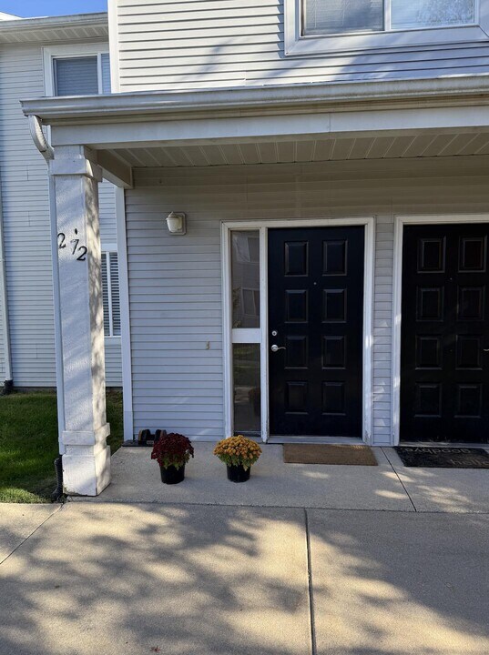 272 Columbus Dr in Ann Arbor, MI - Building Photo