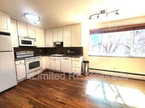 925 E 8th Ave in Denver, CO - Building Photo - Building Photo